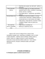 Biznesa plāns 'Biznesa plāns auskaru veikalam/darbnīcai', 15.