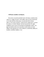 Biznesa plāns 'Biznesa plāns auskaru veikalam/darbnīcai', 21.