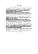 Konspekts 'Mūzikas un mākslas veidi viduslaikos', 3.