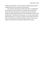 Referāts 'Mēmais kino Zviedrijā', 5.