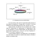 Diplomdarbs 'Sociālās attīstības prioritātes Saldus pilsētā', 52.