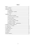 Referāts 'Konfliktu veidi, cēloņi un risināšanas paņēmieni darba kolektīvā', 2.