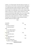 Referāts 'Astronomija', 9.