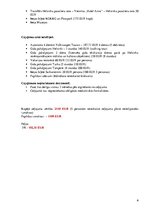 Konspekts 'Grupas ceļojuma izveide: Somija', 6.