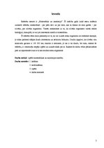 Referāts 'Matemātika un anatomija', 3.