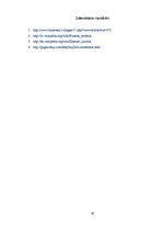 Referāts 'Biznesa modelis: izsoles', 10.