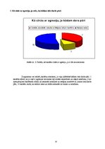 Referāts 'Agresija jauniešu vidū', 20.