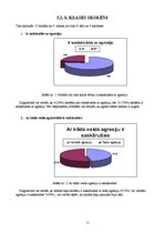 Referāts 'Agresija jauniešu vidū', 21.