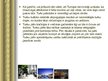 Prezentācija 'Turcija', 13.