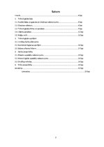 Prakses atskaite 'Kameru krāsns majolikas izstrādājumu otrā apdedzināšana', 2.