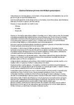 Prakses atskaite 'Kameru krāsns majolikas izstrādājumu otrā apdedzināšana', 6.