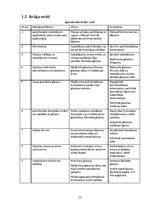 Prakses atskaite 'Kameru krāsns majolikas izstrādājumu otrā apdedzināšana', 11.