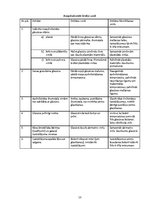 Prakses atskaite 'Kameru krāsns majolikas izstrādājumu otrā apdedzināšana', 12.