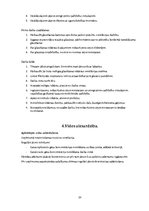 Prakses atskaite 'Kameru krāsns majolikas izstrādājumu otrā apdedzināšana', 19.