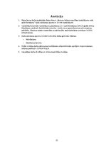 Prakses atskaite 'Kameru krāsns majolikas izstrādājumu otrā apdedzināšana', 20.