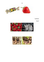 Referāts 'Runas prasmju sekmēšana jaunākajā pirmsskolas vecumposmā', 36.