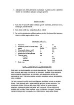 Paraugs 'Darba aizsardzības instrukcija kurinātājiem', 2.