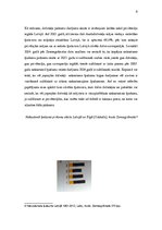 Referāts 'Nekustamā īpašuma tirgus Latvijā', 8.