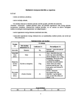 Referāts 'Radioaktīvais piesārņojums', 4.