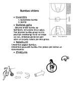 Referāts 'Basketbola stafete', 1.