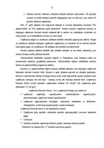 Diplomdarbs 'Finanšu piesaistes iespējas uzņēmuma SIA "X" attīstībai', 12.