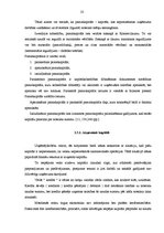 Diplomdarbs 'Finanšu piesaistes iespējas uzņēmuma SIA "X" attīstībai', 23.