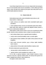 Diplomdarbs 'Finanšu piesaistes iespējas uzņēmuma SIA "X" attīstībai', 31.