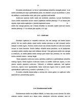 Diplomdarbs 'Finanšu piesaistes iespējas uzņēmuma SIA "X" attīstībai', 33.