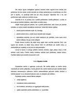 Diplomdarbs 'Finanšu piesaistes iespējas uzņēmuma SIA "X" attīstībai', 37.