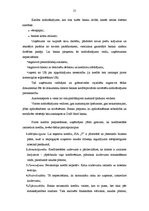 Diplomdarbs 'Finanšu piesaistes iespējas uzņēmuma SIA "X" attīstībai', 55.