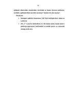 Diplomdarbs 'Finanšu piesaistes iespējas uzņēmuma SIA "X" attīstībai', 56.