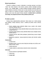 Biznesa plāns 'Personīgas somiņas higiēnas/kosmētikas piederumiem', 2.