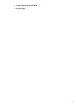 Biznesa plāns 'Personīgas somiņas higiēnas/kosmētikas piederumiem', 3.