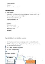 Biznesa plāns 'Personīgas somiņas higiēnas/kosmētikas piederumiem', 6.