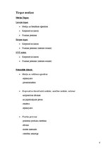 Biznesa plāns 'Personīgas somiņas higiēnas/kosmētikas piederumiem', 8.