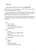 Biznesa plāns 'Personīgas somiņas higiēnas/kosmētikas piederumiem', 9.