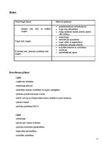 Biznesa plāns 'Personīgas somiņas higiēnas/kosmētikas piederumiem', 12.