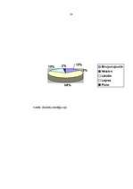 Diplomdarbs 'Pedagoģisko konfliktu risināšanas iespējas un saistība ar sociālo prasmju attīst', 38.