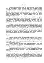 Referāts 'Senlatviešu svētki', 2.