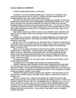 Eseja 'Stāsts "Dalija"', 1.