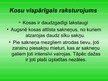 Prezentācija 'Kosas', 4.