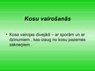 Prezentācija 'Kosas', 8.
