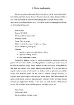 Prakses atskaite 'Aktīvā mācību un audzināšanas prakse sākumskolā', 4.