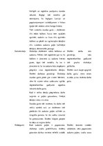 Prakses atskaite 'Aktīvā mācību un audzināšanas prakse sākumskolā', 18.