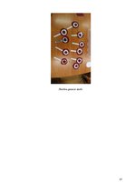 Prakses atskaite 'Aktīvā mācību un audzināšanas prakse sākumskolā', 21.