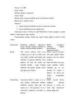 Prakses atskaite 'Aktīvā mācību un audzināšanas prakse sākumskolā', 22.