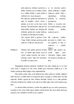 Prakses atskaite 'Aktīvā mācību un audzināšanas prakse sākumskolā', 26.