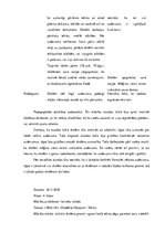 Prakses atskaite 'Aktīvā mācību un audzināšanas prakse sākumskolā', 34.