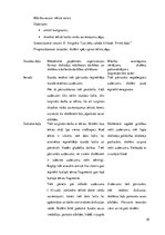 Prakses atskaite 'Aktīvā mācību un audzināšanas prakse sākumskolā', 35.