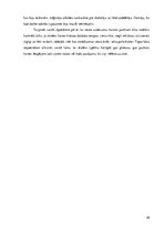 Prakses atskaite 'Aktīvā mācību un audzināšanas prakse sākumskolā', 39.